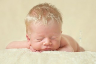 newborn baby Manchester, Lancashire