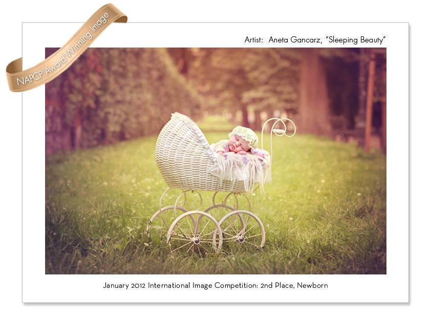 Awards 2012 - Aneta Gancarz - Newborn Baby Photography Manchester