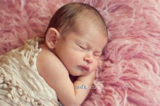 Newborn Photography Manchester