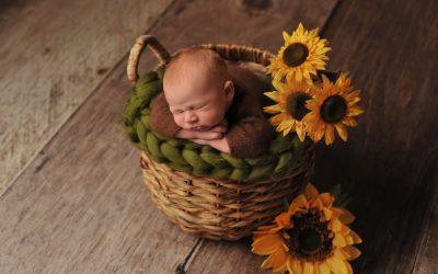 Newborn Photography Manchester | Baby Max