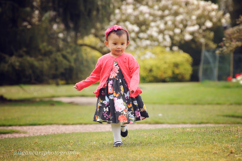 Tatton Park Gardens photo session, cherry blossom photo session